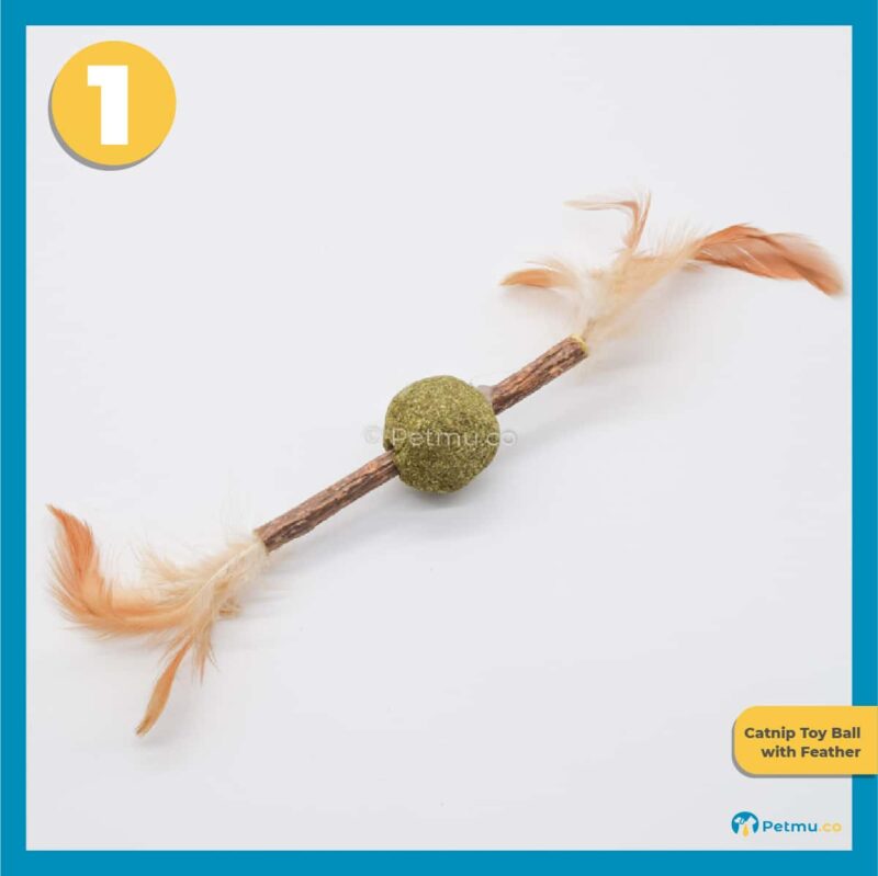 Petmu.co Best Value Cat Toys Combo Set C (Cat Teaser Toys with Bell, Set Mainan Kucing Murah) [4 Pcs] - Image 3
