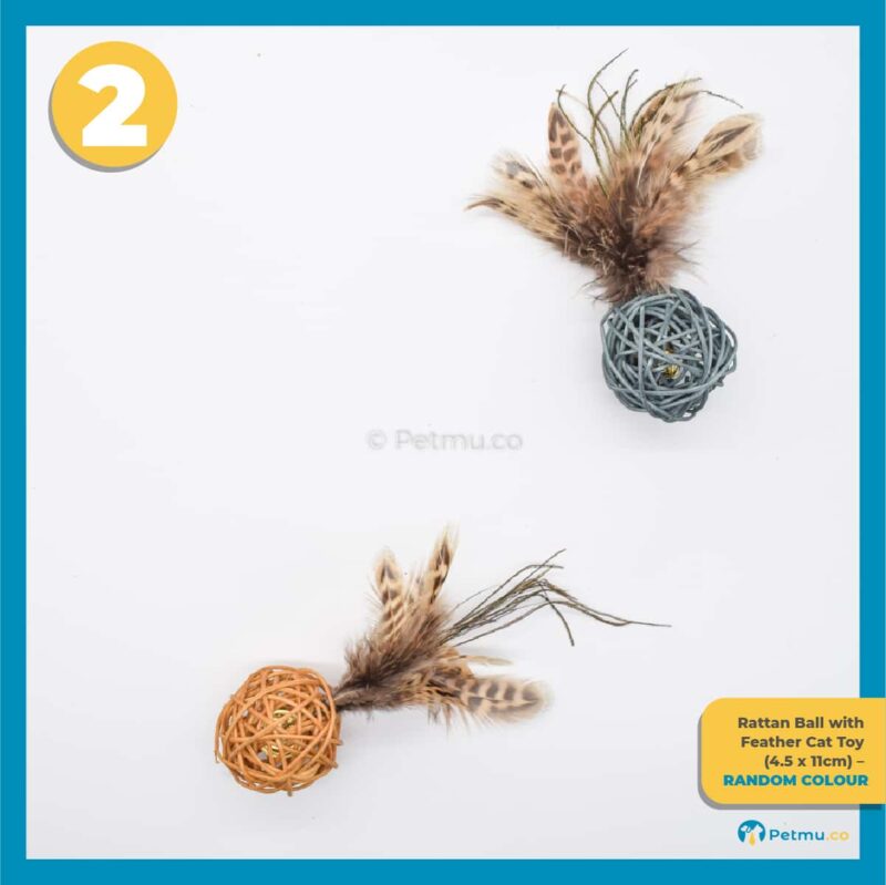 Petmu.co Best Value Cat Toys Combo Set D (Cat Teaser Toys with Bell, Set Mainan Kucing Murah) [6 Pcs] - Image 4