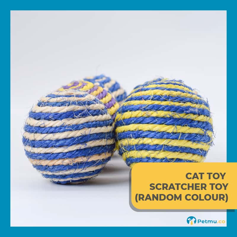Cat Teaser Ball Scratcher 7cm (Medium size)