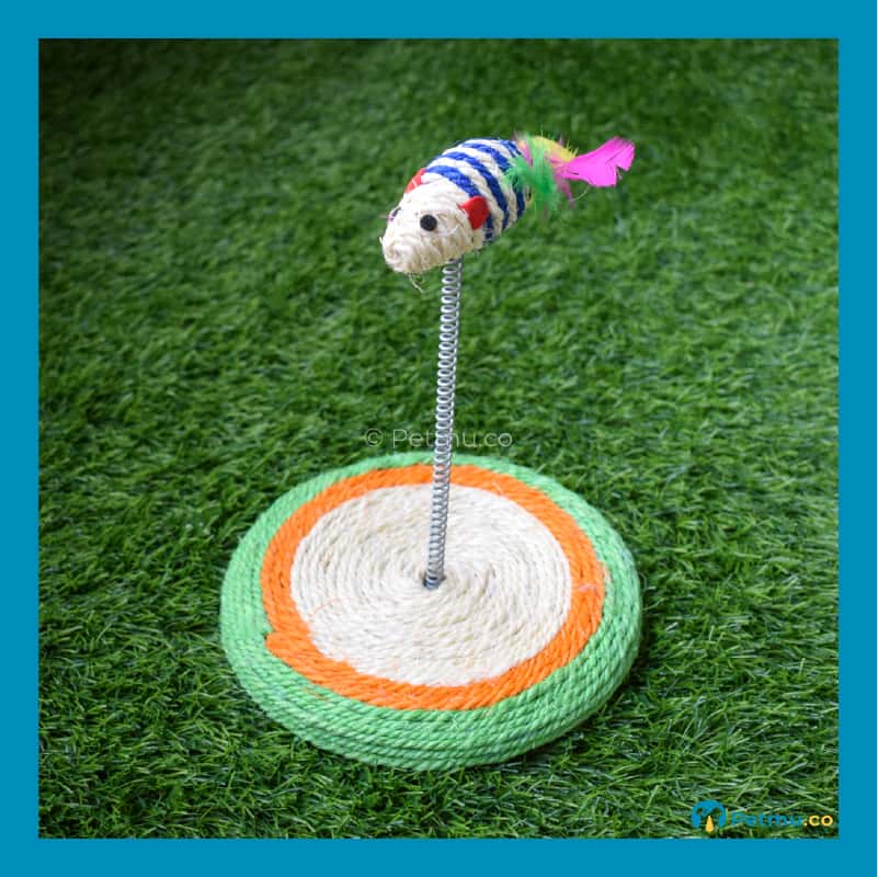 Sisal Toy Cat Play Scratch Board With Spring Mouse - Image 6
