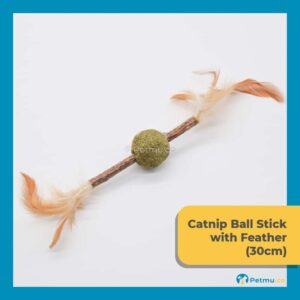 Cat Toy Compressed Catnip Ball Stick With Feather