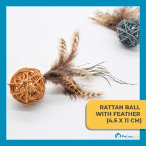 Rattan Ball with Feather Cat Toy (4.5 x 11cm)