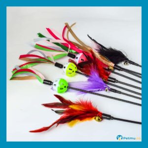 CT004-XM Colourful Cat Sticks - RANDOM COLOUR (40 - 50CM)