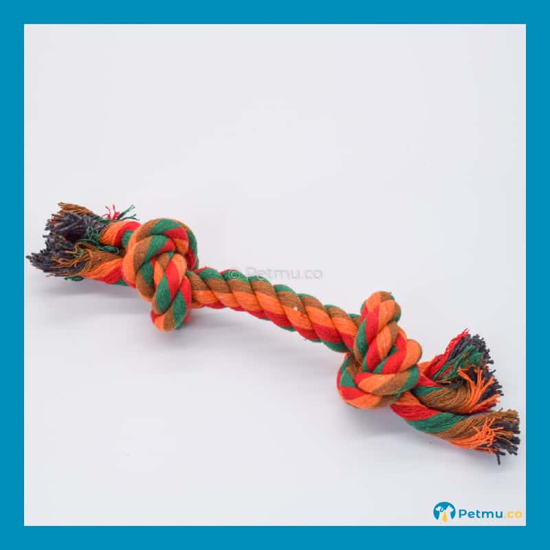 Colourful Double Knotted Cotton Dog Rope Toy (22MM X 25CM) - Image 2