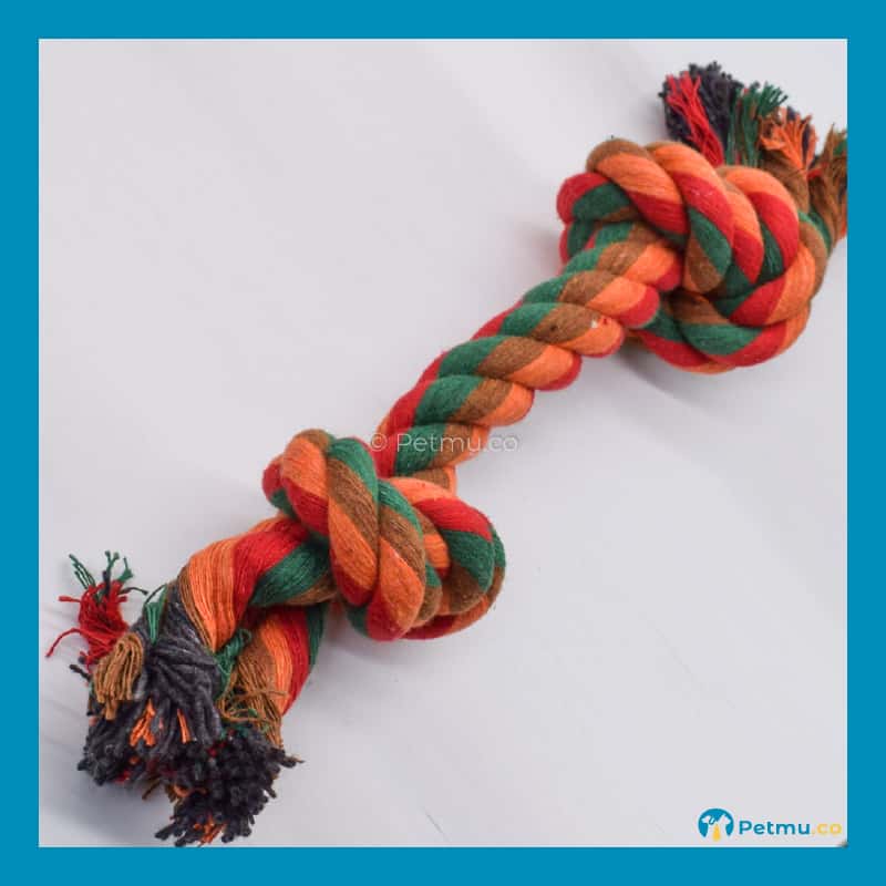 Colourful Double Knotted Cotton Dog Rope Toy (22MM X 25CM) - Image 3