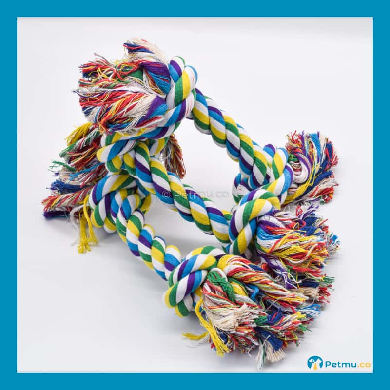 Colourful Double Knotted Cotton Dog Rope Toy (28MM X 30CM) - Image 2