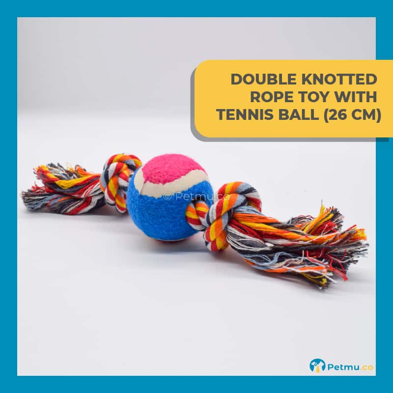 Double Knotted Rope Dog Toy with Tennis Ball (26cm)