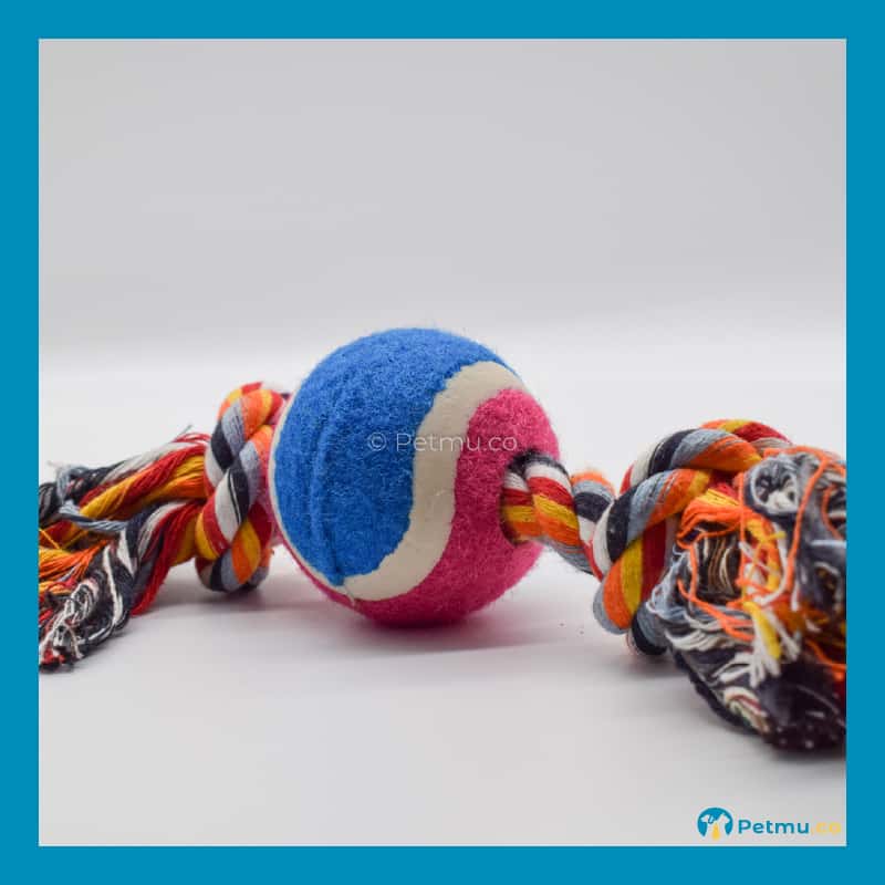 Double Knotted Rope Dog Toy with Tennis Ball (26cm) - Image 2