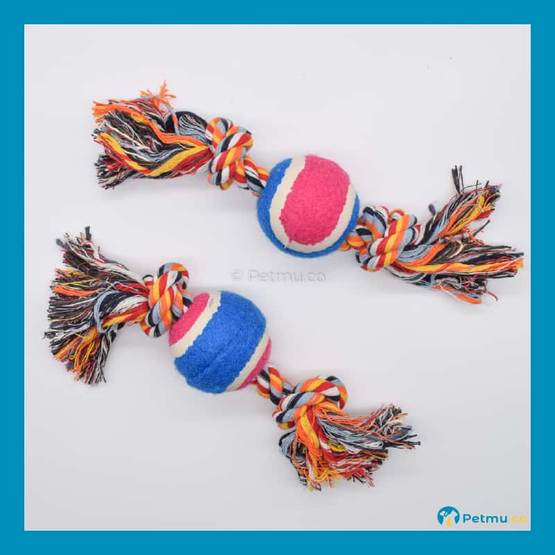 Double Knotted Rope Dog Toy with Tennis Ball (26cm) - Image 3