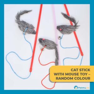 Cat Stick with Mouse Cat Toy (50CM) - RANDOM COLOUR