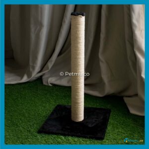 QQ 066-2